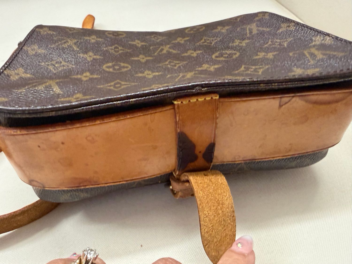 Louis Vuitton Monogram Catouchierre Pm Crossbody Sling