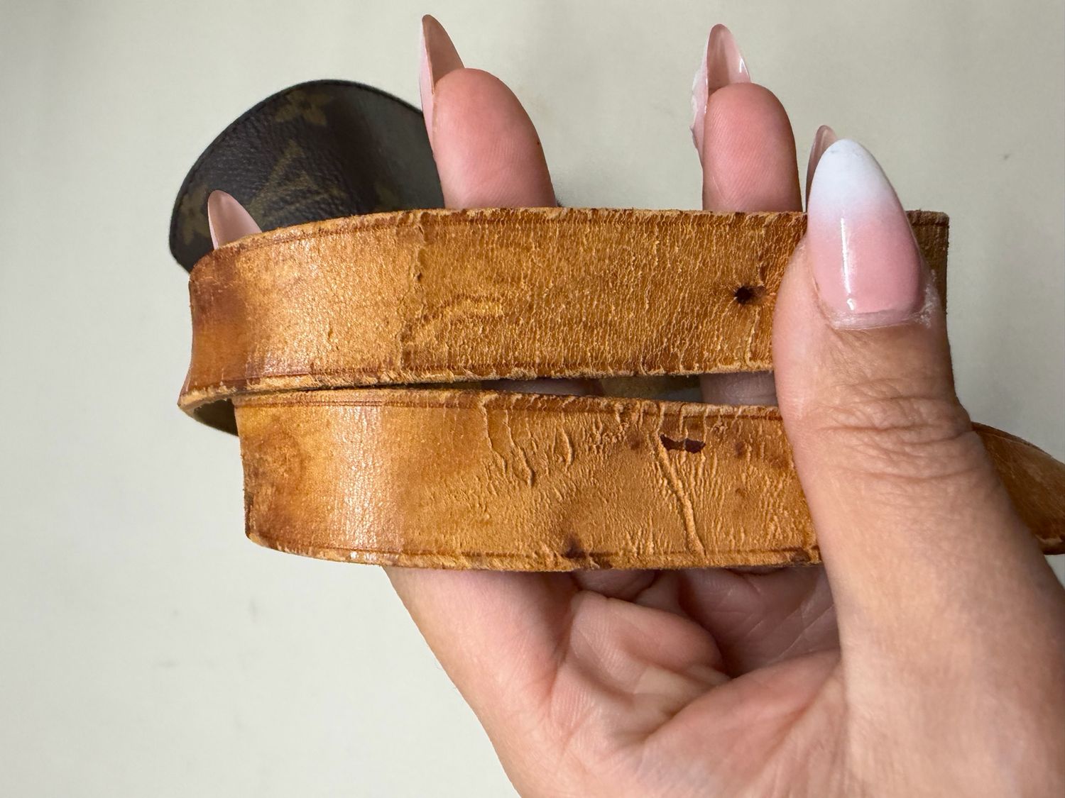 Louis Vuitton Monogram Catouchierre Pm Crossbody Sling