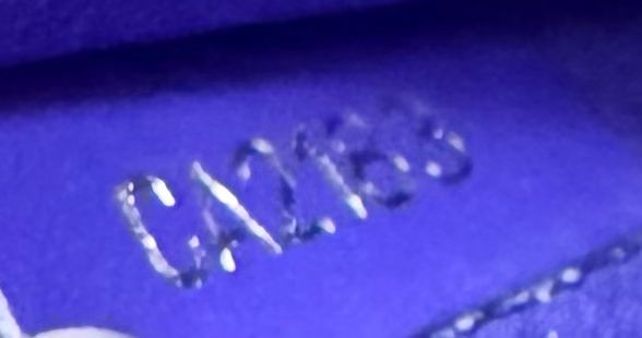 Louis Vuitton Neverfull Epi Pouch in Purple