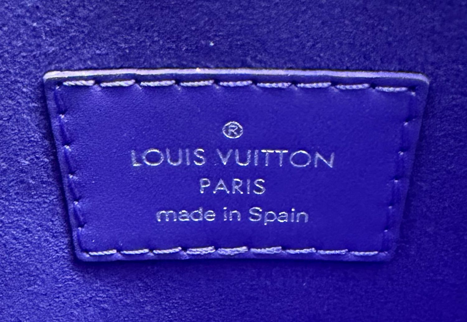 Louis Vuitton Neverfull Epi Pouch in Purple