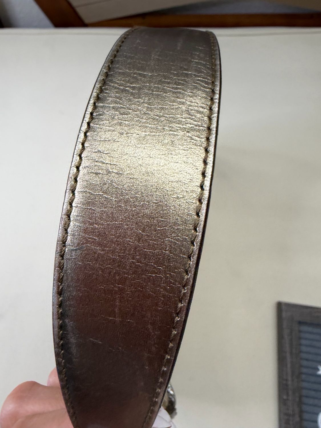 Gucci Jackie Metallic Hobo Web Shoulder Bag