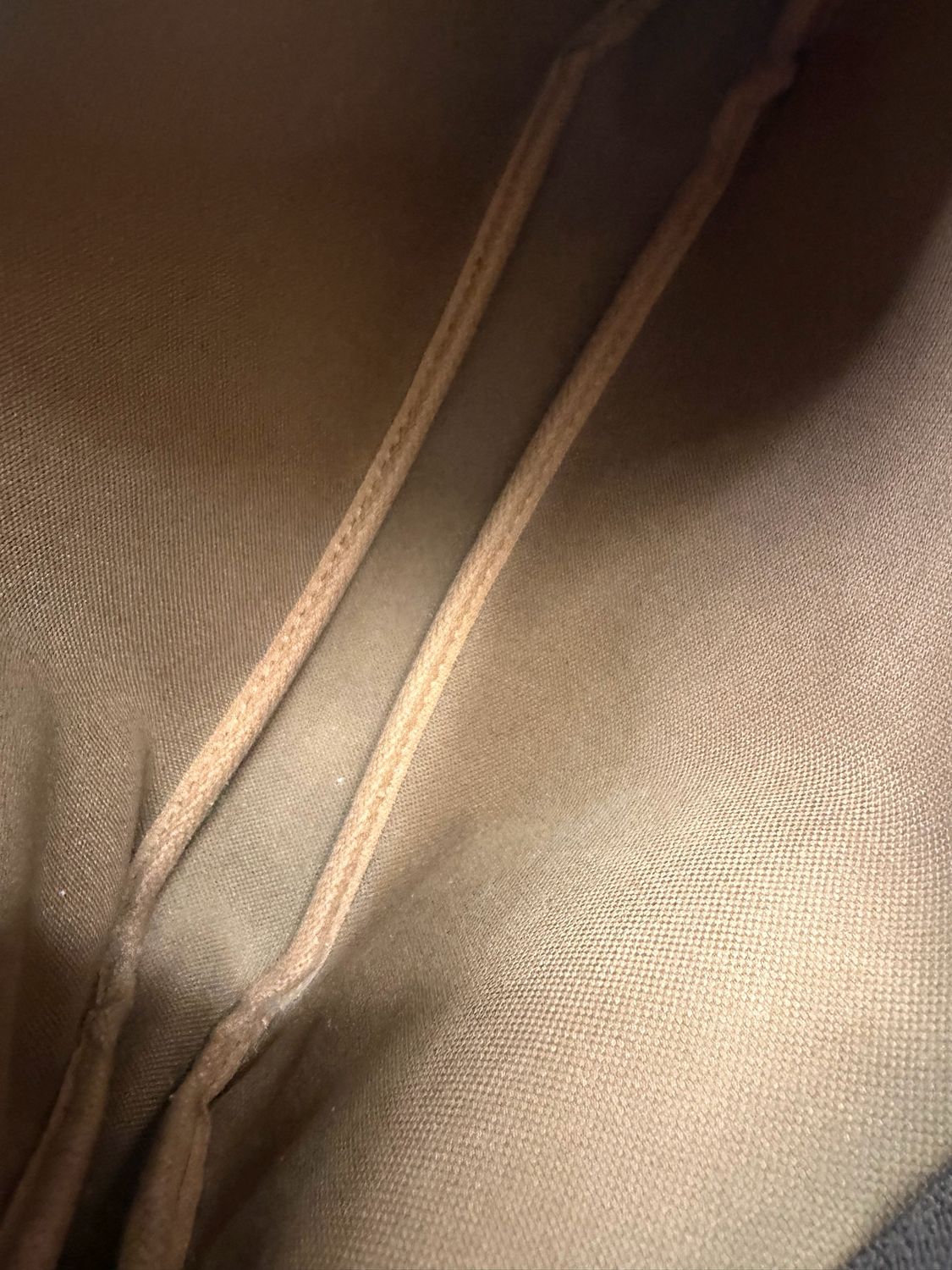 Louis Vuitton Monogram Pochette Accesoires Shoulder Bag