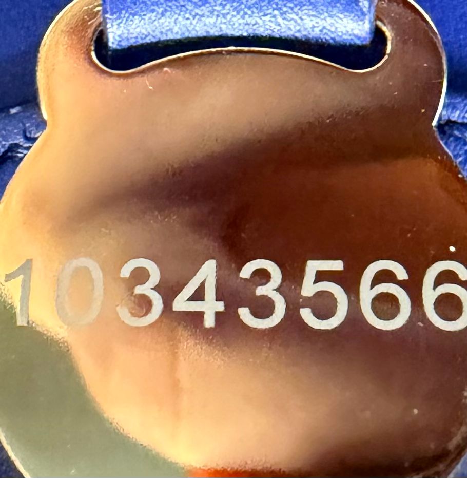 Mulberry Nappa Leather Perforated Tote in Navy Blue