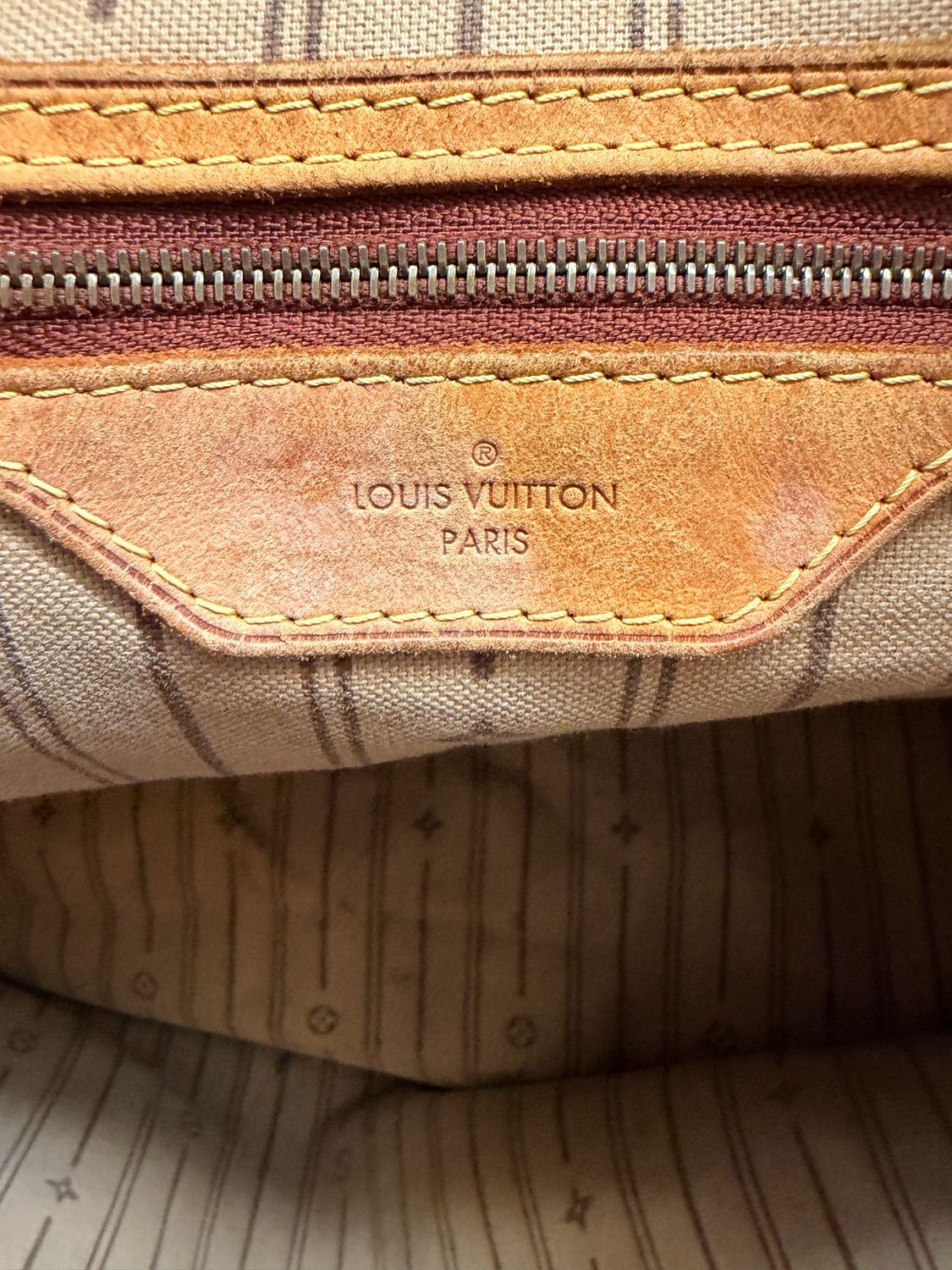 Louis Vuitton Monogram Delightful Gm Project Hobo
