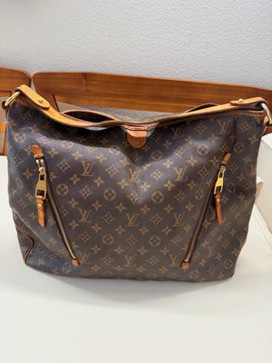 Louis Vuitton Monogram Delightful Gm Project Hobo