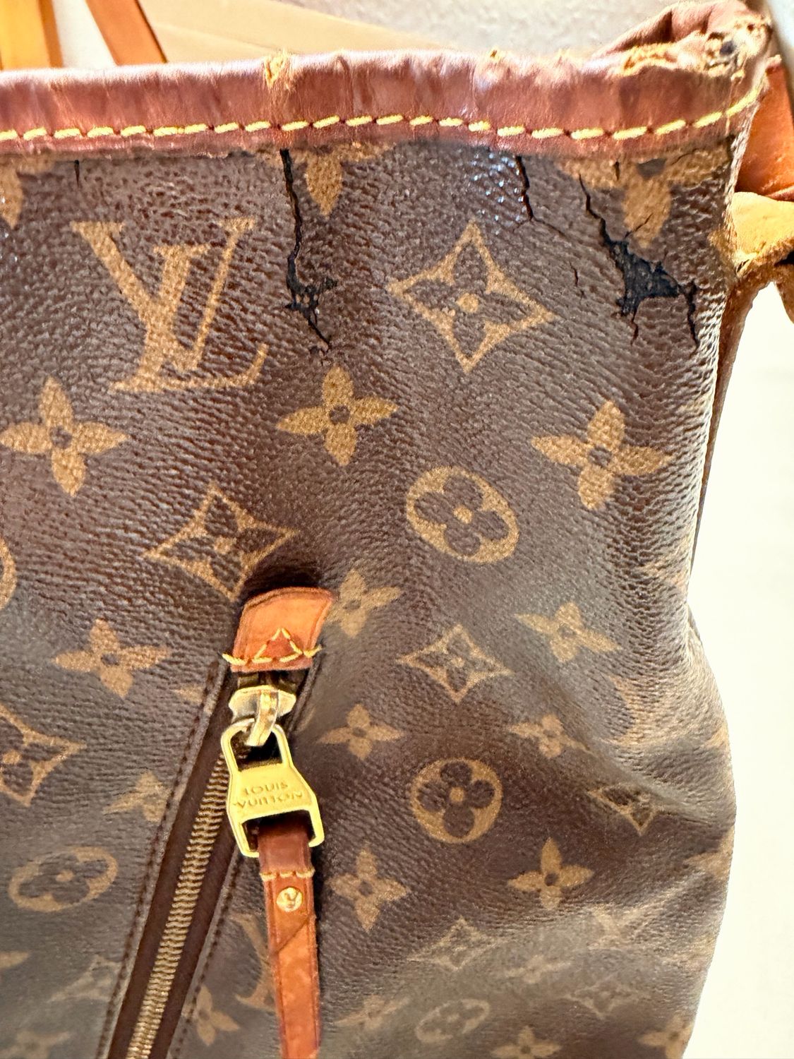 Louis Vuitton Monogram Delightful Gm Project Hobo