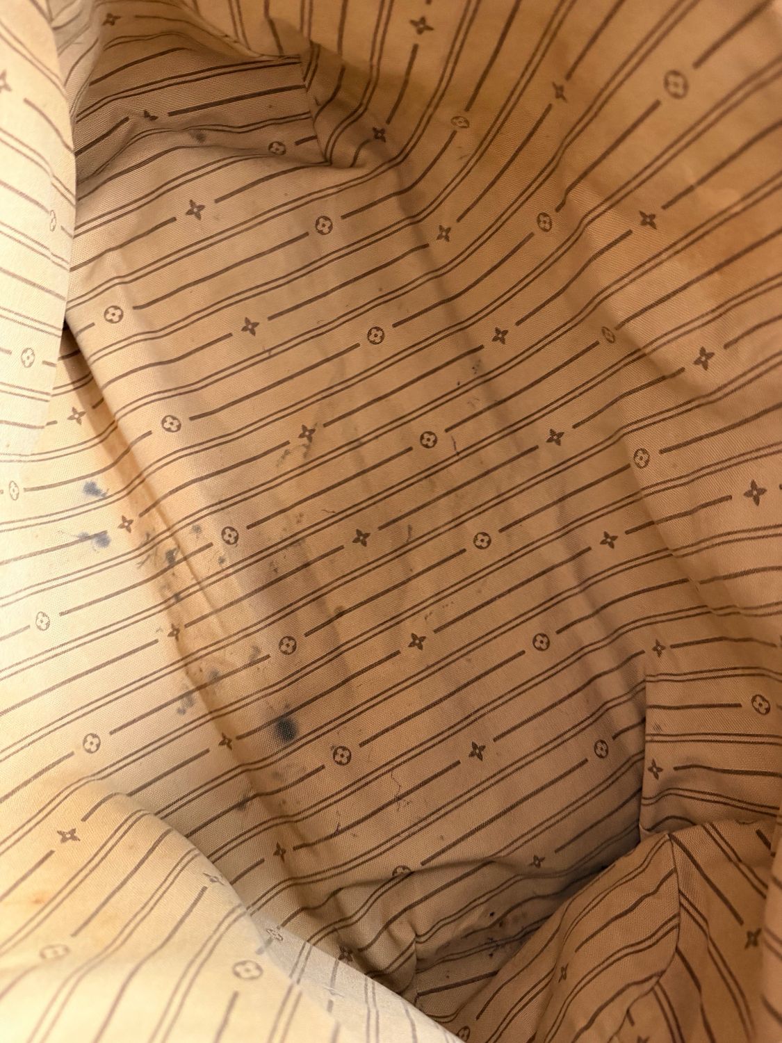 Louis Vuitton Monogram Delightful Gm Project Hobo