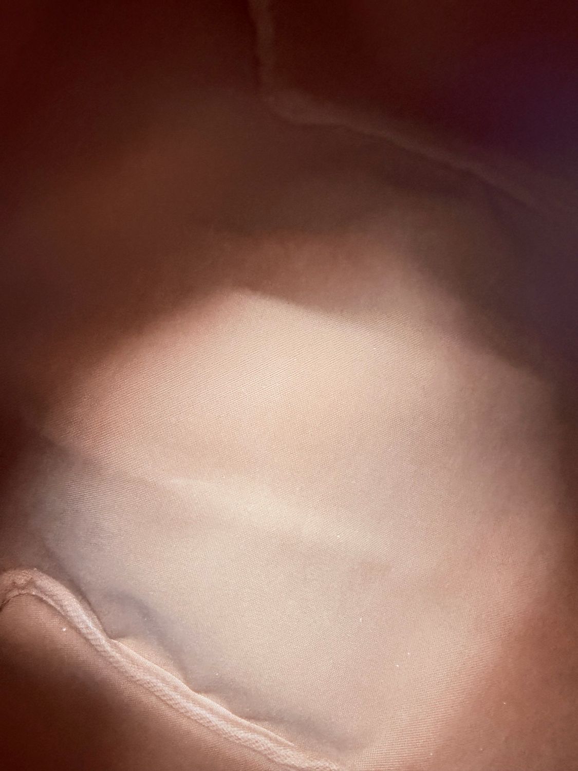 Louis Vuitton Monogram Speedy 30 Boston Satchel Bowler