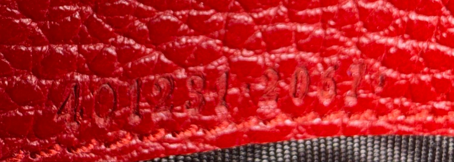 Gucci Dionysius Wallet on Chain Flap Messenger in Red