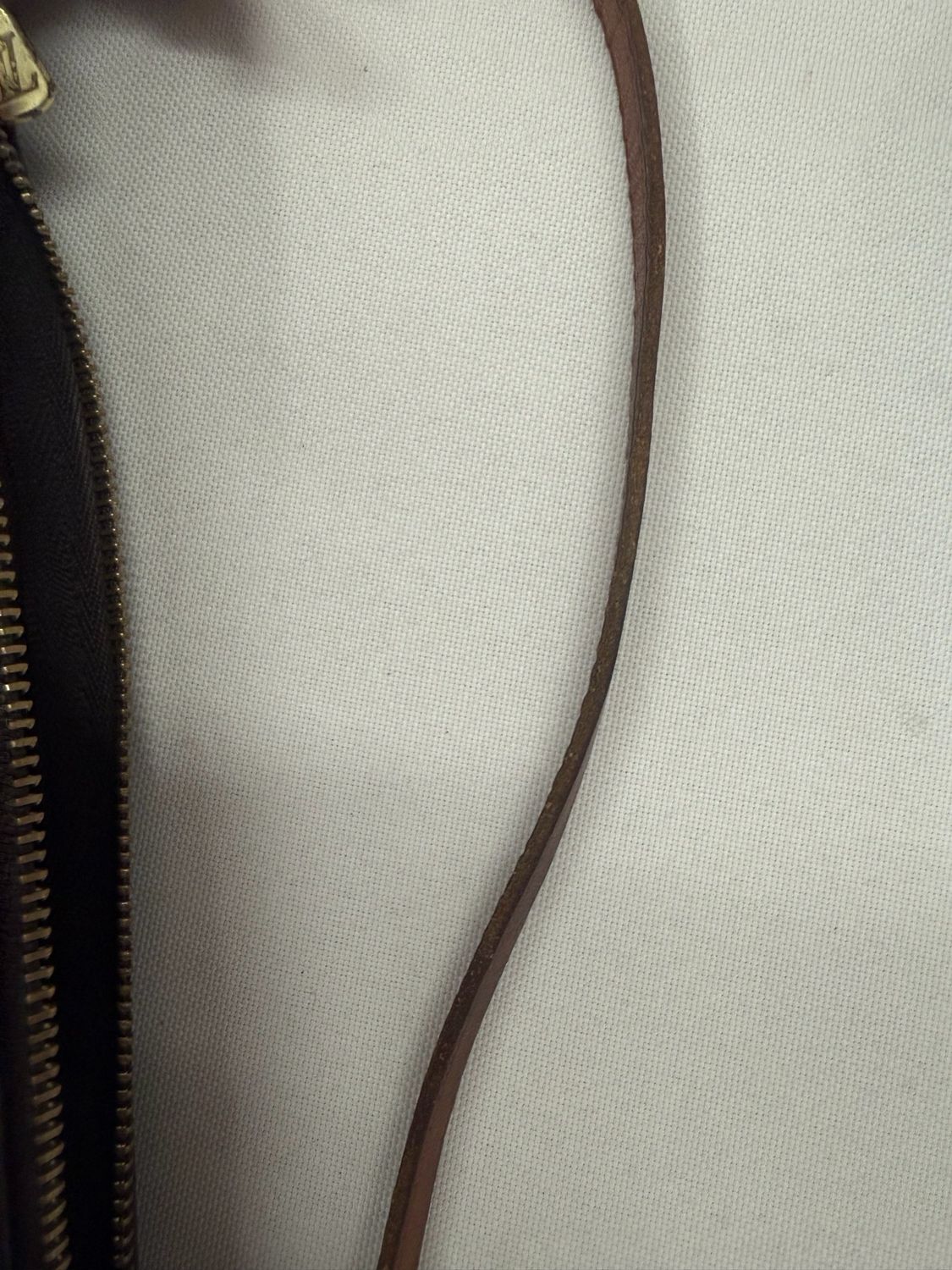 Louis Vuitton Monogram Pochette Accesories Hobo