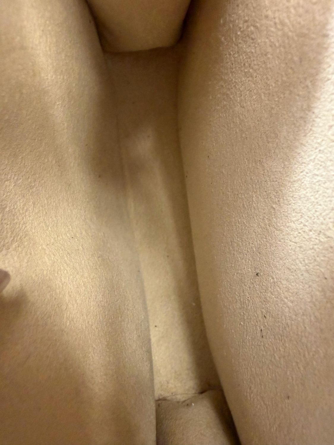 Louis Vuitton Monogram Florentine Flap Bum Bag 
