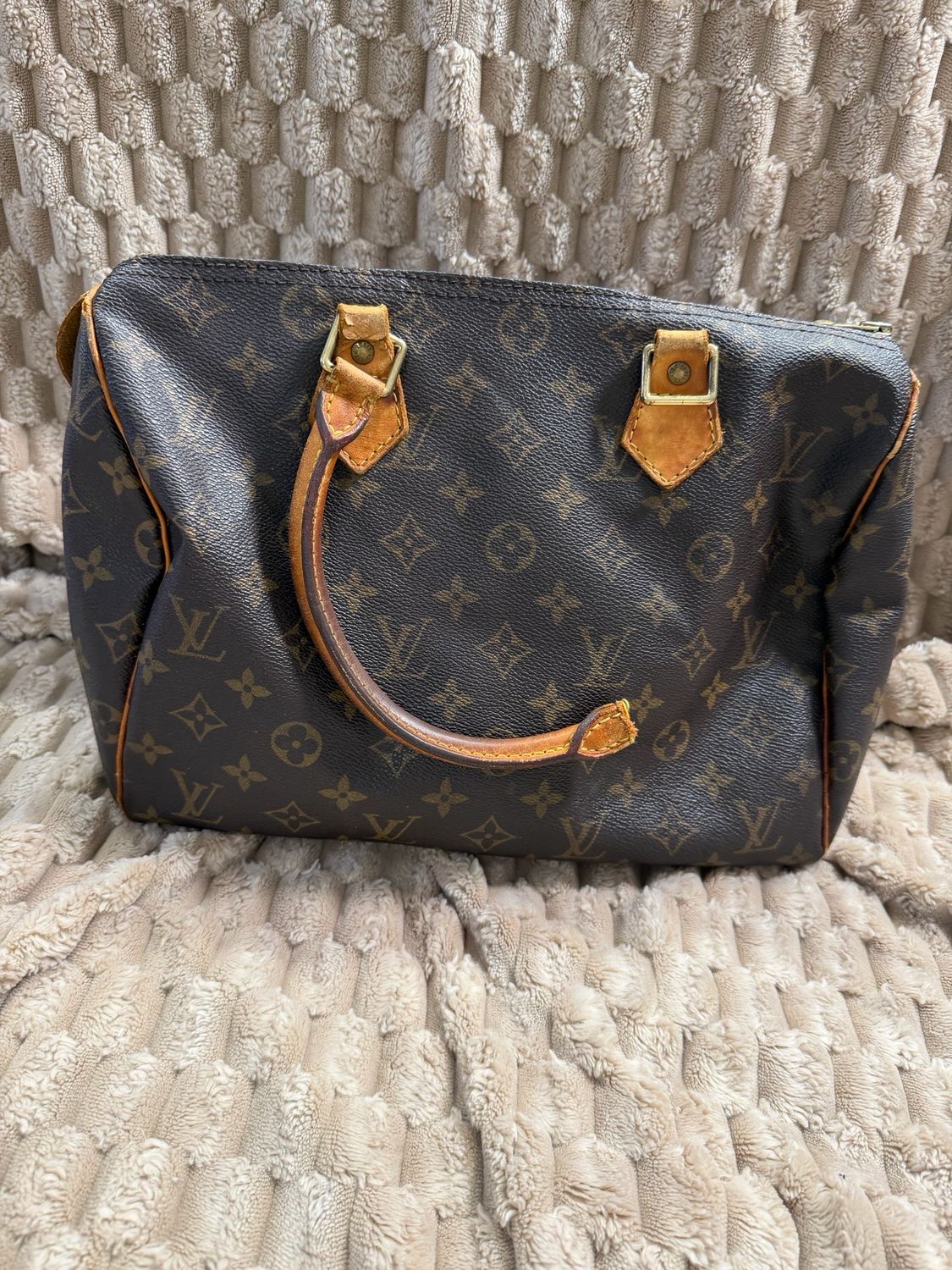 Louis Vuitton Speedy Monogram 30 Project