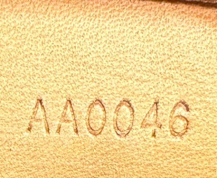 Louis Vuitton Speedy Monogram 30 Project