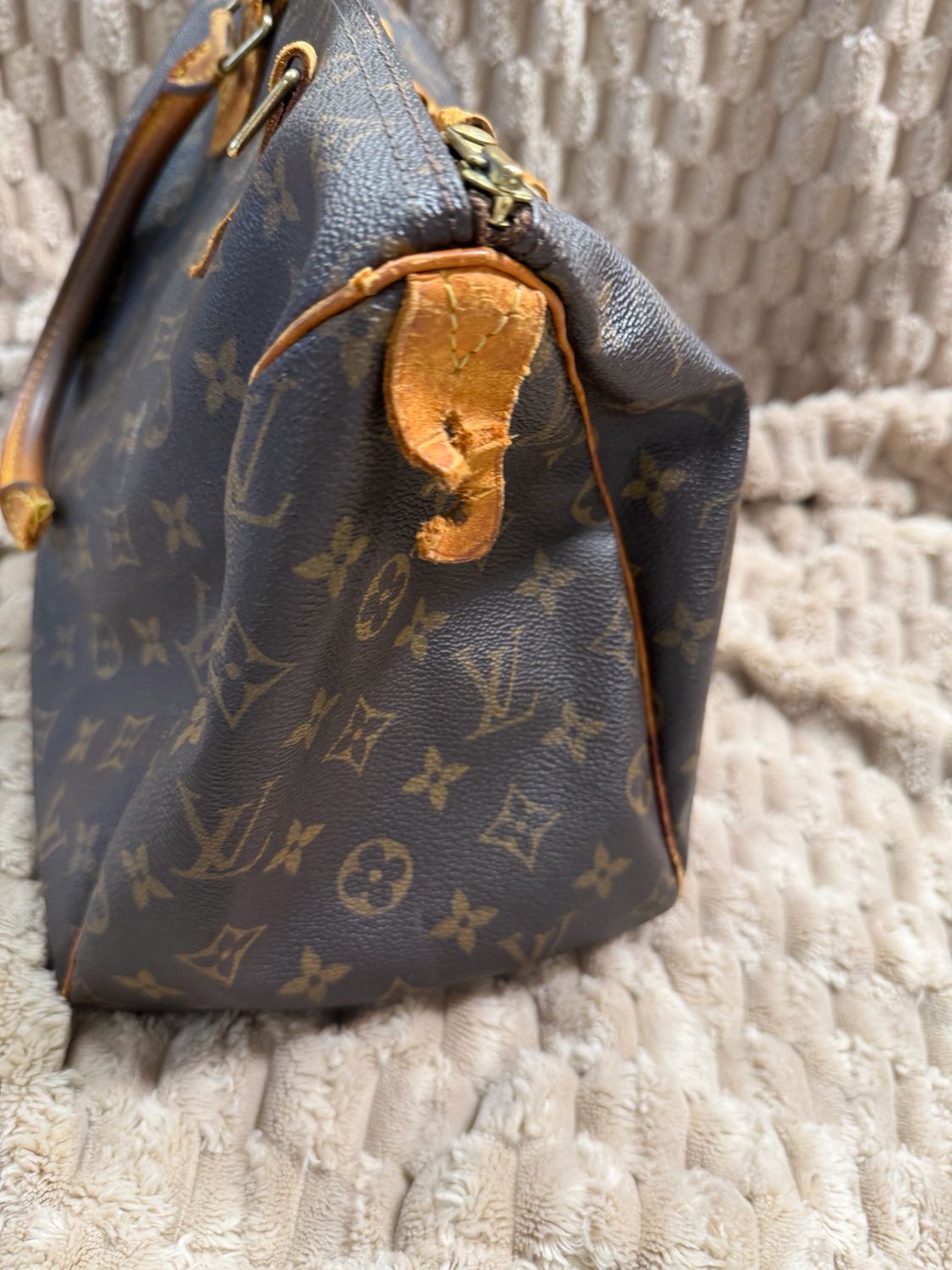 Louis Vuitton Speedy Monogram 30 Project