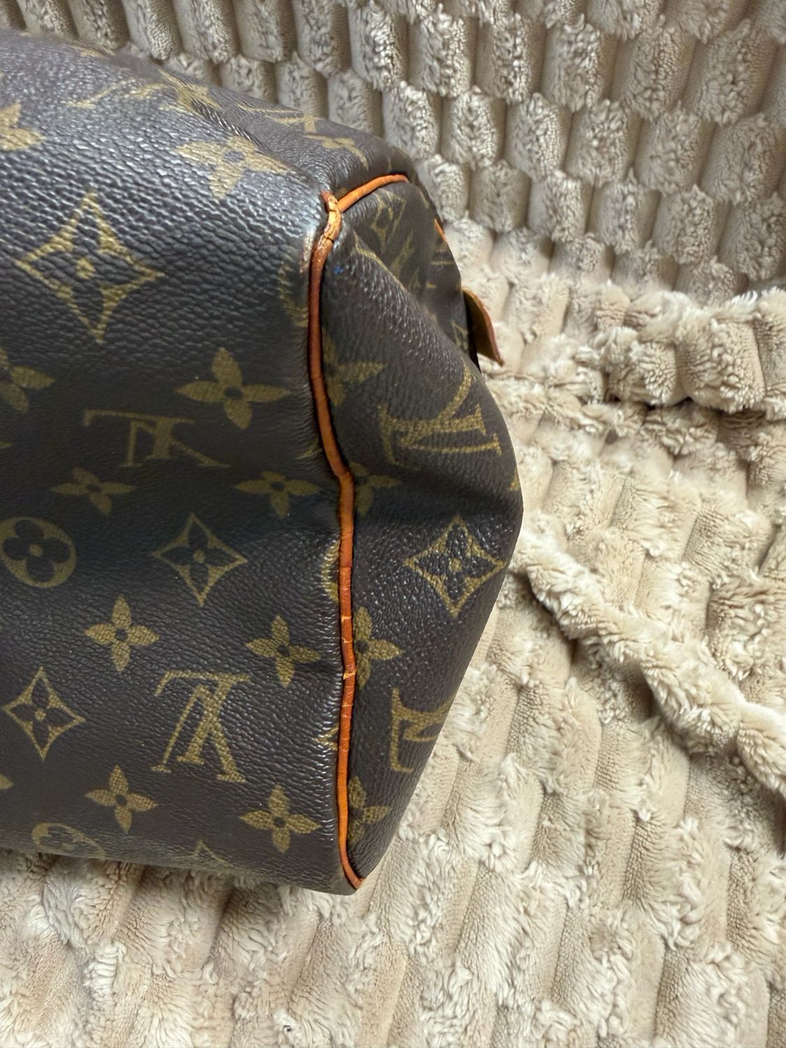 Louis Vuitton Speedy Monogram 30 Project
