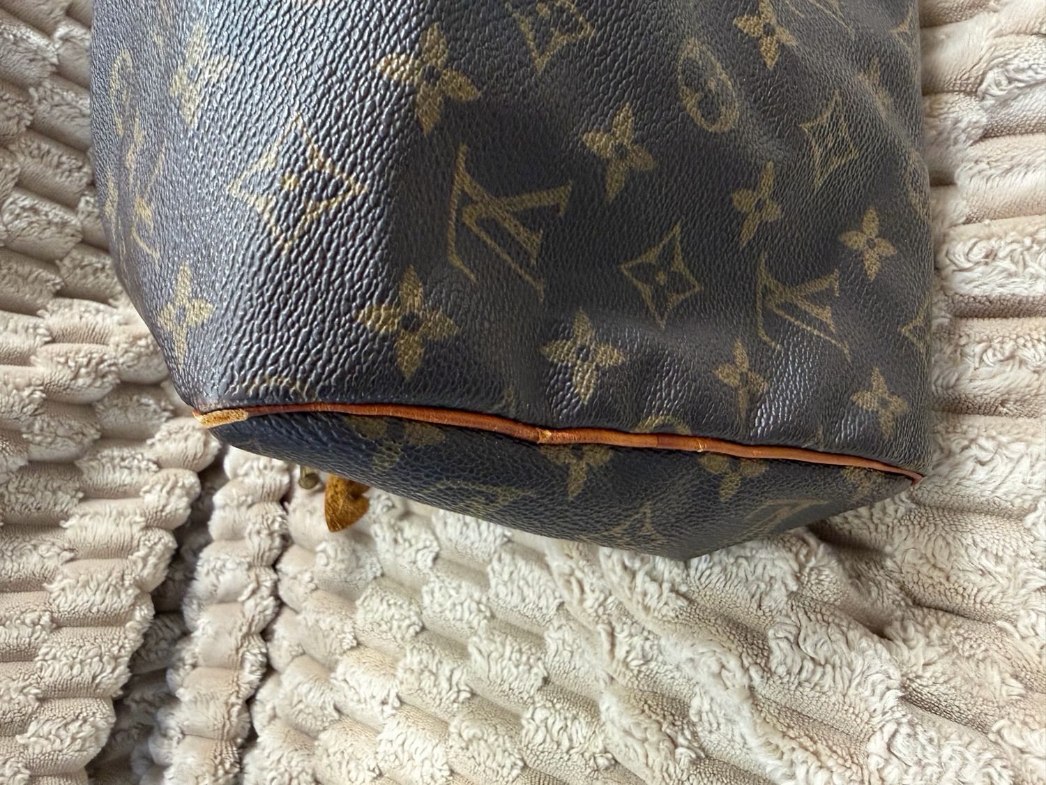 Louis Vuitton Speedy Monogram 30 Project