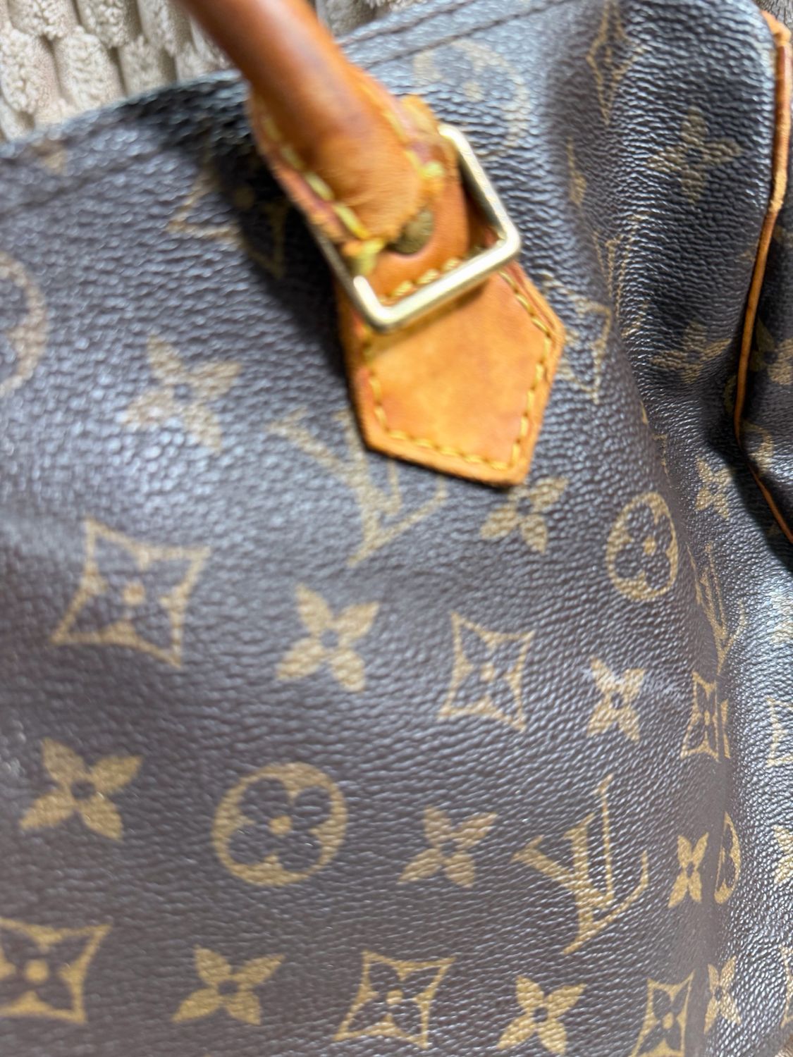 Louis Vuitton Speedy Monogram 30 Project
