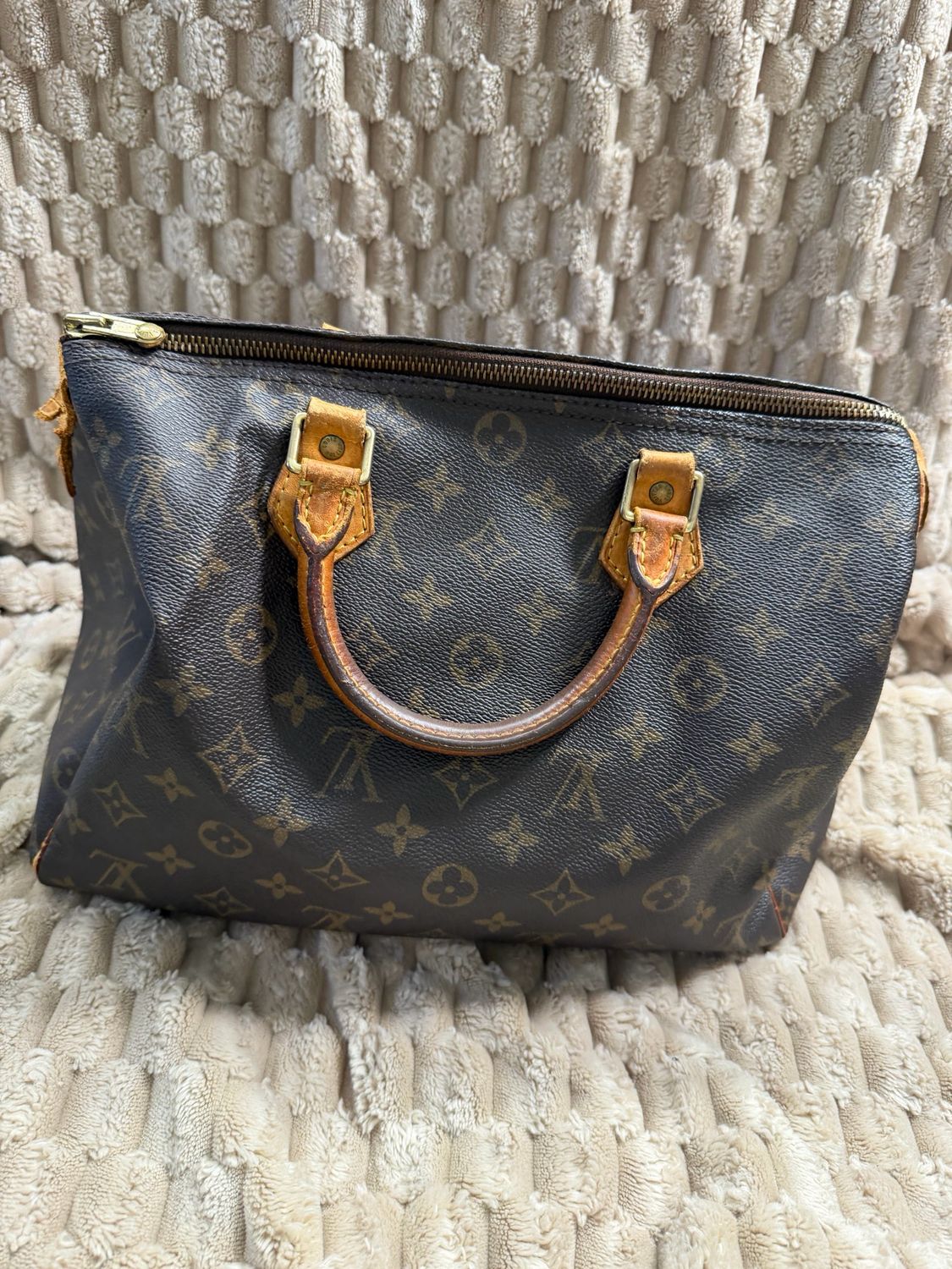 Louis Vuitton Speedy Monogram 30 Project