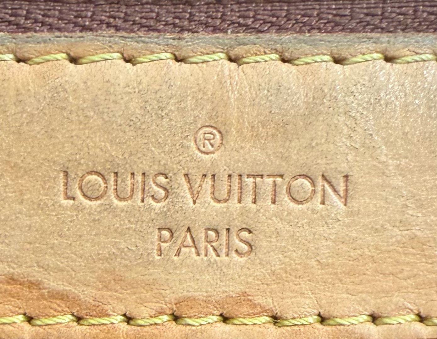 Louis Vuitton Monogram Delightful Mm Hobo Shoulder Bag
