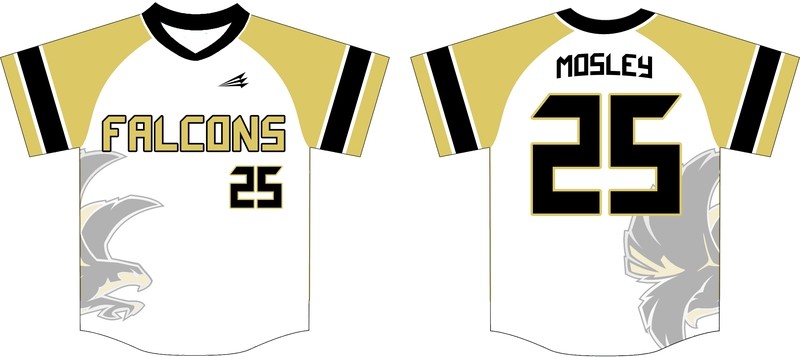 Bushland Custom Baseball Jersey Design #2B