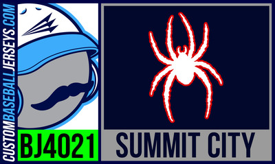 Summit City Spiders