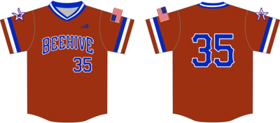 Beehive Custom NanoDri Baseball Jersey Design #J15B