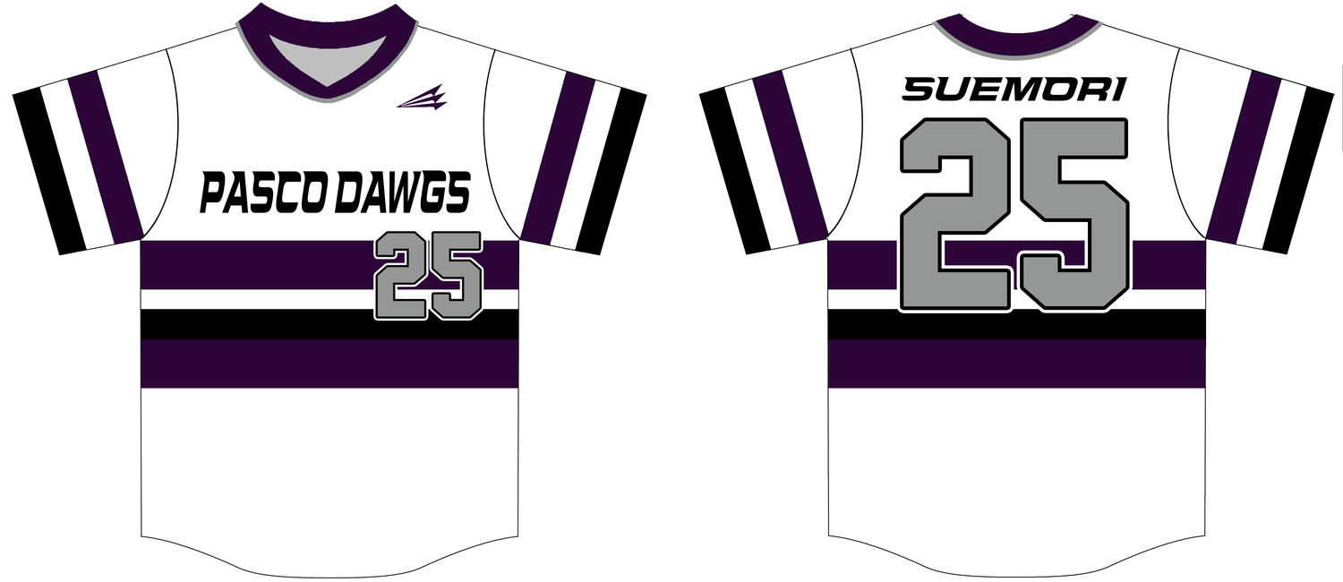 Pasco DAWGS Custom NanoDri Baseball Jersey #J2b