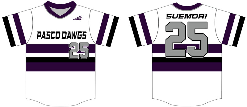 Pasco DAWGS Custom NanoDri Baseball Jersey #J2b