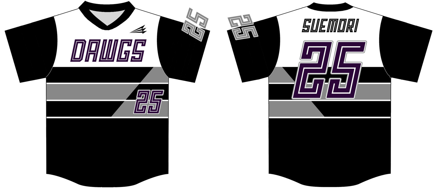 Pasco DAWGS Custom NanoDri Baseball Jersey #J4