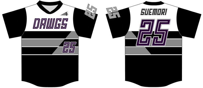 Pasco DAWGS Custom NanoDri Baseball Jersey #J4