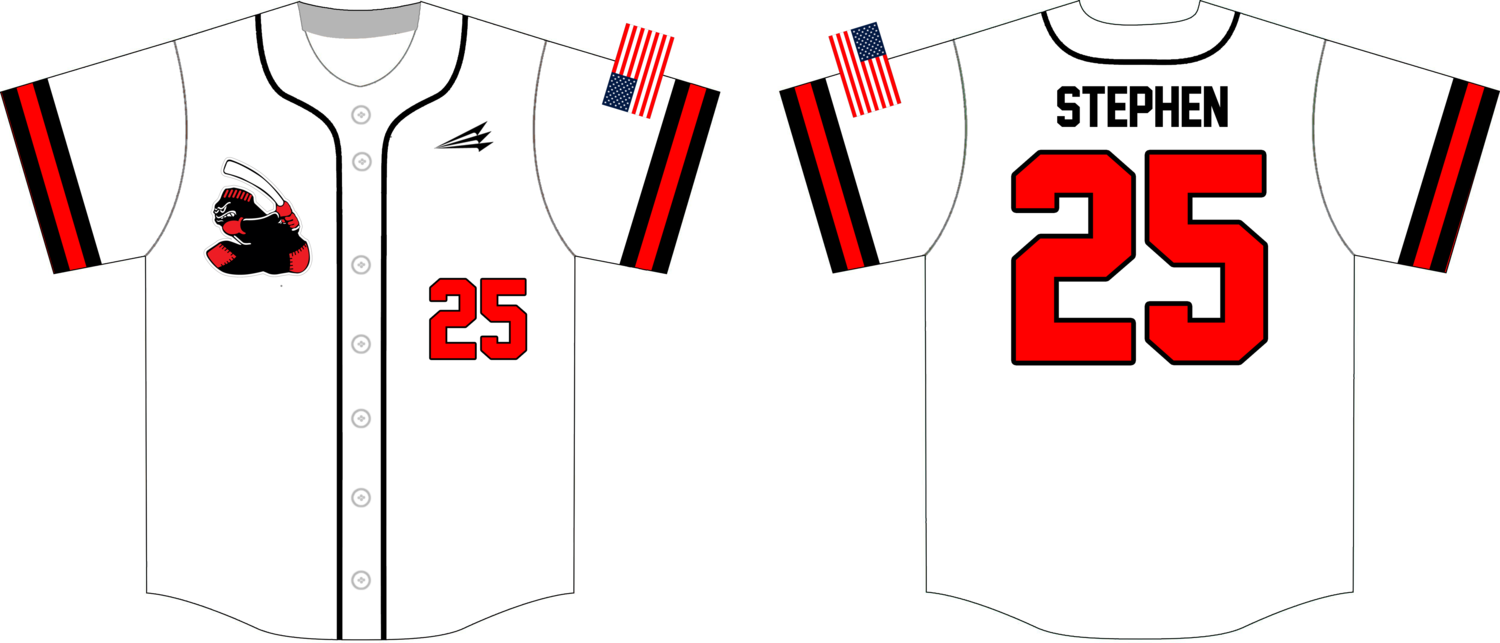 Tennessee Blacksox Custom Baseball Jersey Design #1