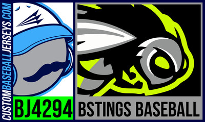 BStings Baseball