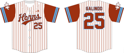 Austin Horns Custom NanoDri Baseball Jersey #J3C