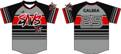 Savs Custom HexaFlex Baseball Jersey #J2D