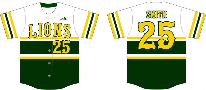 Lions Custom HexaFlex Baseball Jersey #J2