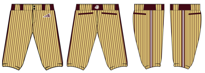 Southern Illinois Dirt Dawgs Custom Stacheman Elite Knicker Pants #BP4c