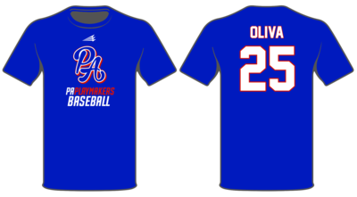 PA Playmakers Baseball Custom HyperTee #HT4B