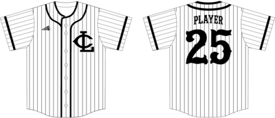 Lake County Lightning Custom NanoDri Baseball Jersey #J19C