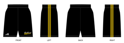 Lake County Lightning Custom Revolution Shorts #RV1B