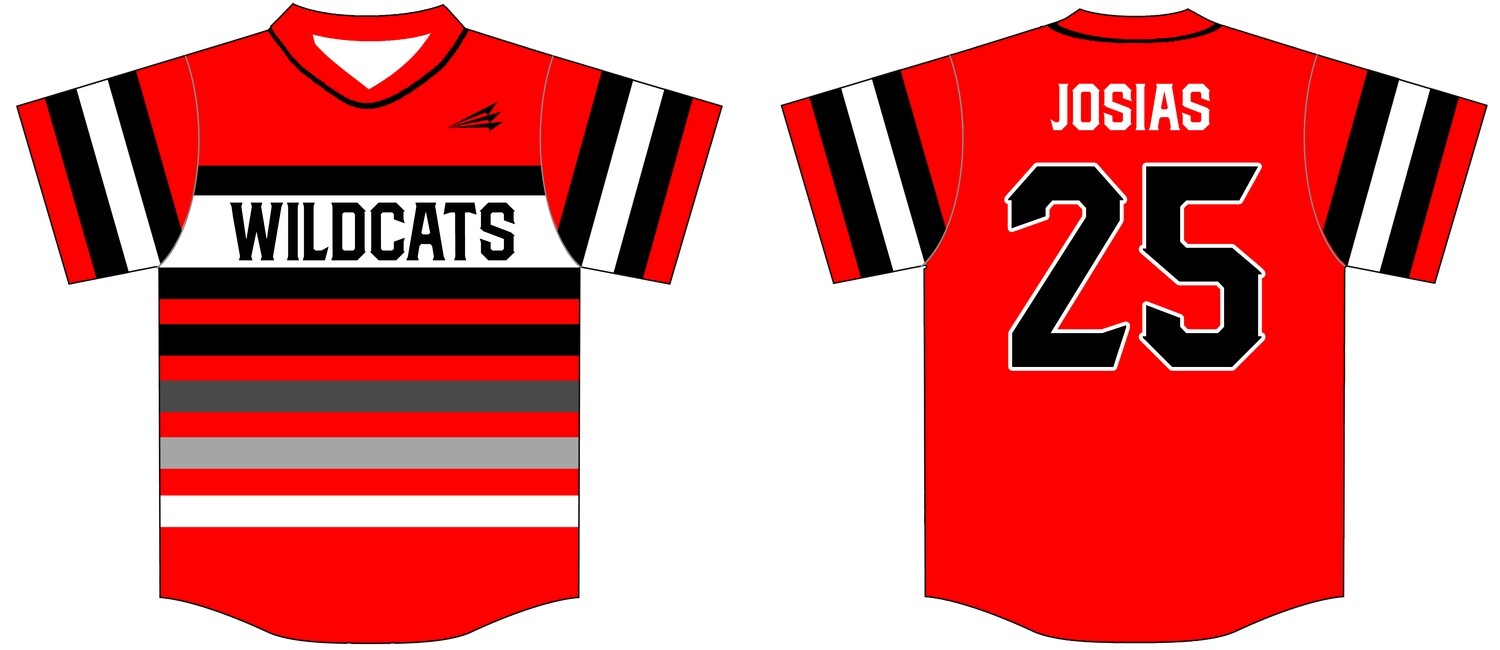 Trenton Wildcats Custom NanoDri Baseball Jersey #J4