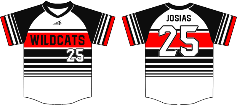 Trenton Wildcats Custom NanoDri Baseball Jersey #J1B