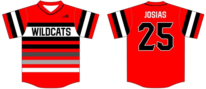 Trenton Wildcats Custom HexaFlex Baseball Jersey #J4