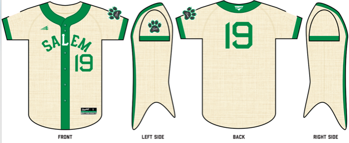 Salem University Custom NanoDri Baseball Jersey #J1