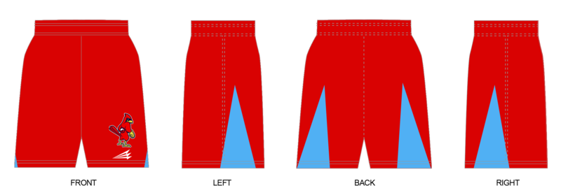 Boundary Waters Redbirds Custom Revolution Shorts #RV1