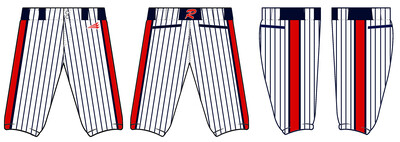 Western Tidewater Rage Custom Knicker Baseball Pants #BP3C