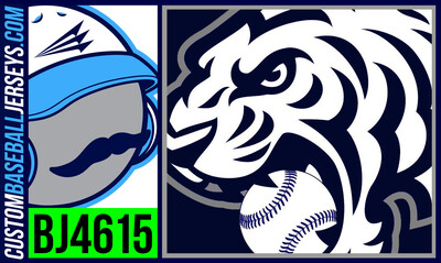 Twinsburg Tigers