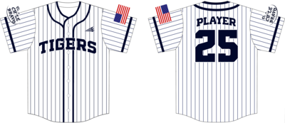 Twinsburg Tigers Custom NanoDri Baseball Jersey #J3E