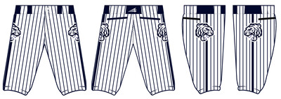 Twinsburg Tigers Custom Knicker Baseball Pants #BP3B