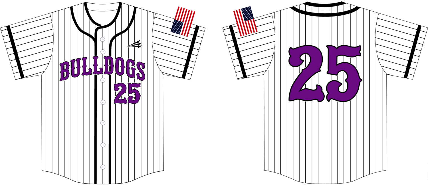 Harrisburg Bulldogs Custom HexaFlex Baseball Jersey #J6D