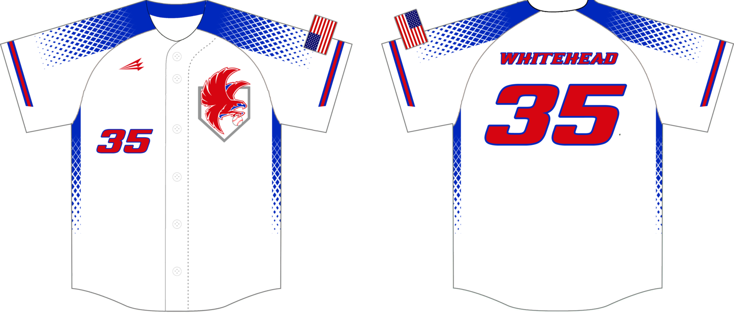 Twin City Falcons Custom NanoDri Baseball Jersey #J10B